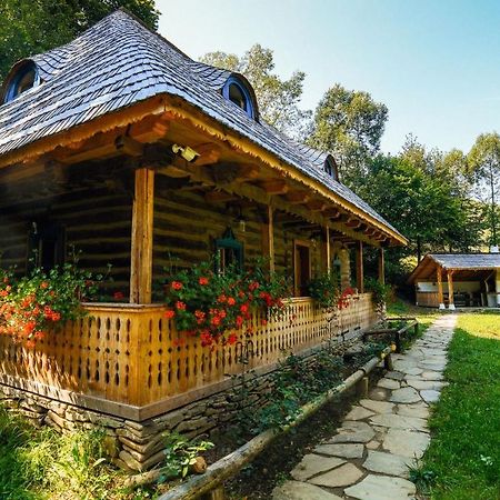 Villa Casa Lu' Ion Vişeu de Sus Exterior foto