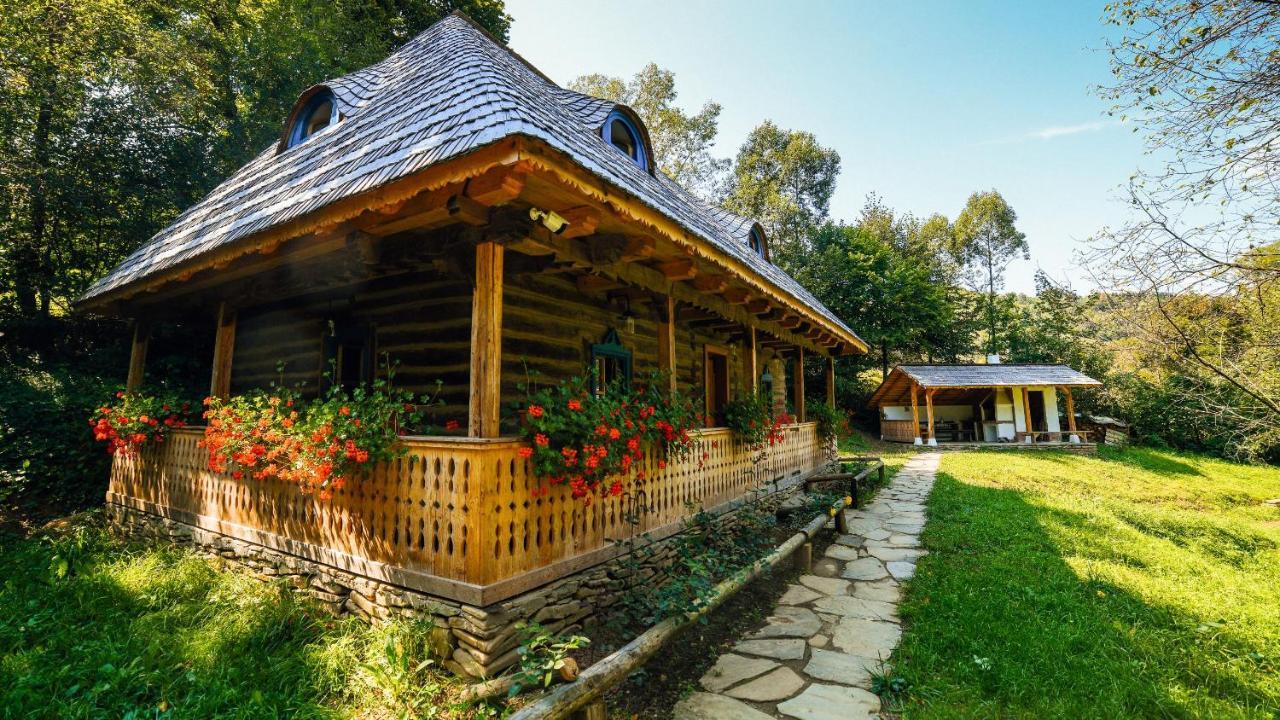 Villa Casa Lu' Ion Vişeu de Sus Exterior foto