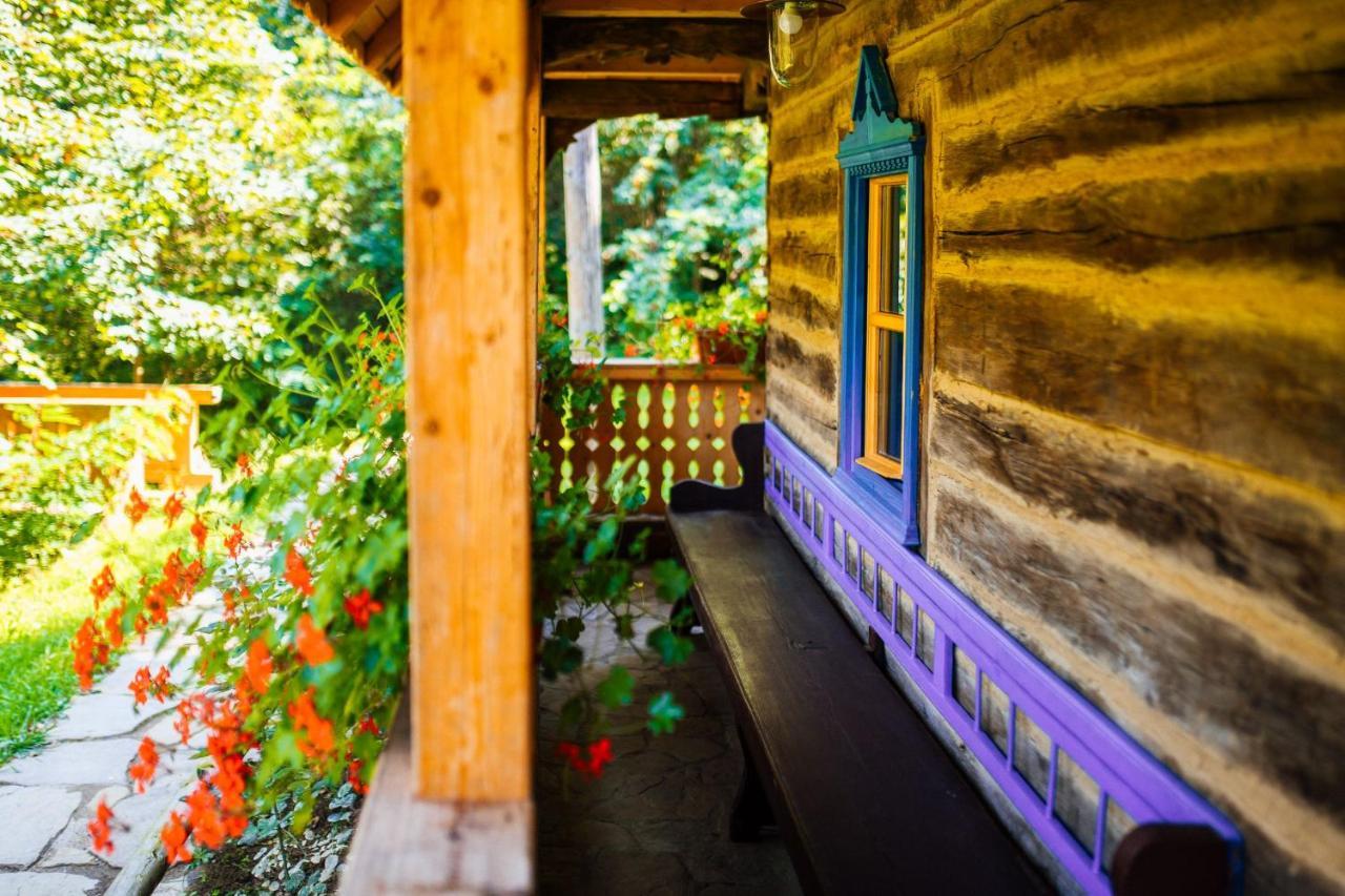 Villa Casa Lu' Ion Vişeu de Sus Exterior foto