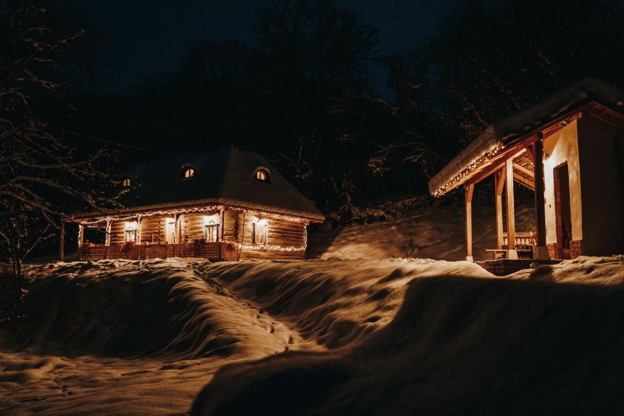 Villa Casa Lu' Ion Vişeu de Sus Exterior foto