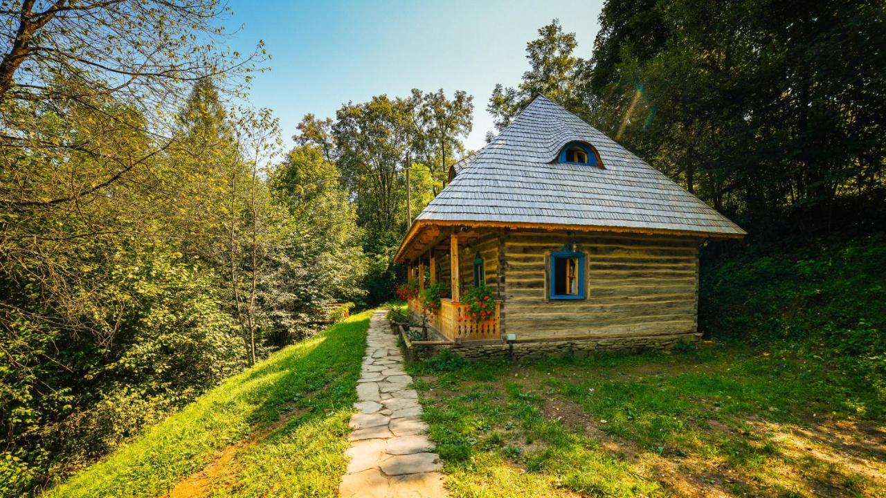 Villa Casa Lu' Ion Vişeu de Sus Exterior foto