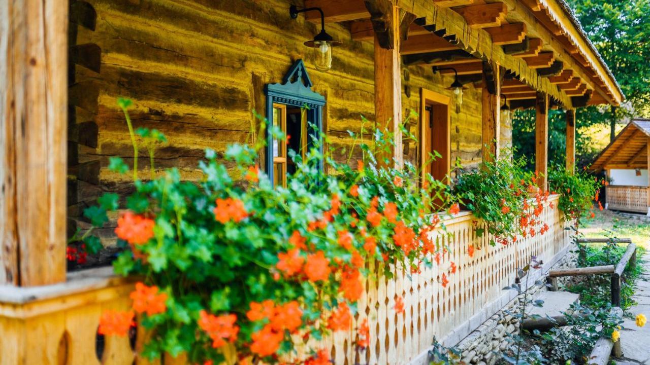 Villa Casa Lu' Ion Vişeu de Sus Exterior foto