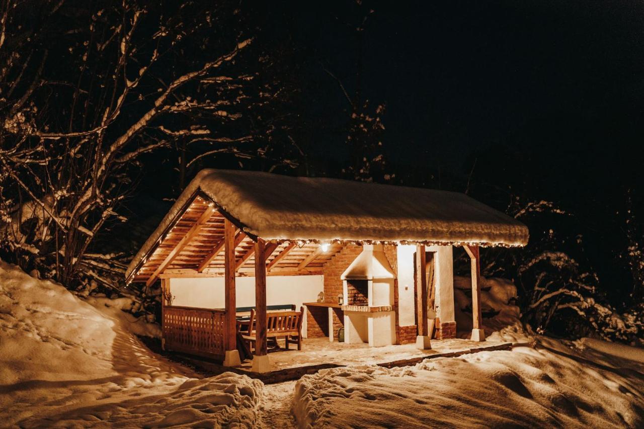 Villa Casa Lu' Ion Vişeu de Sus Exterior foto