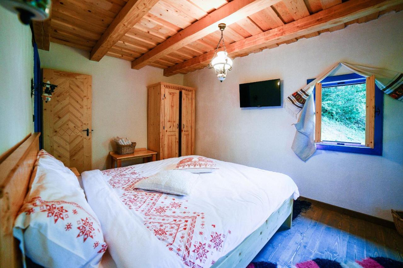 Villa Casa Lu' Ion Vişeu de Sus Exterior foto