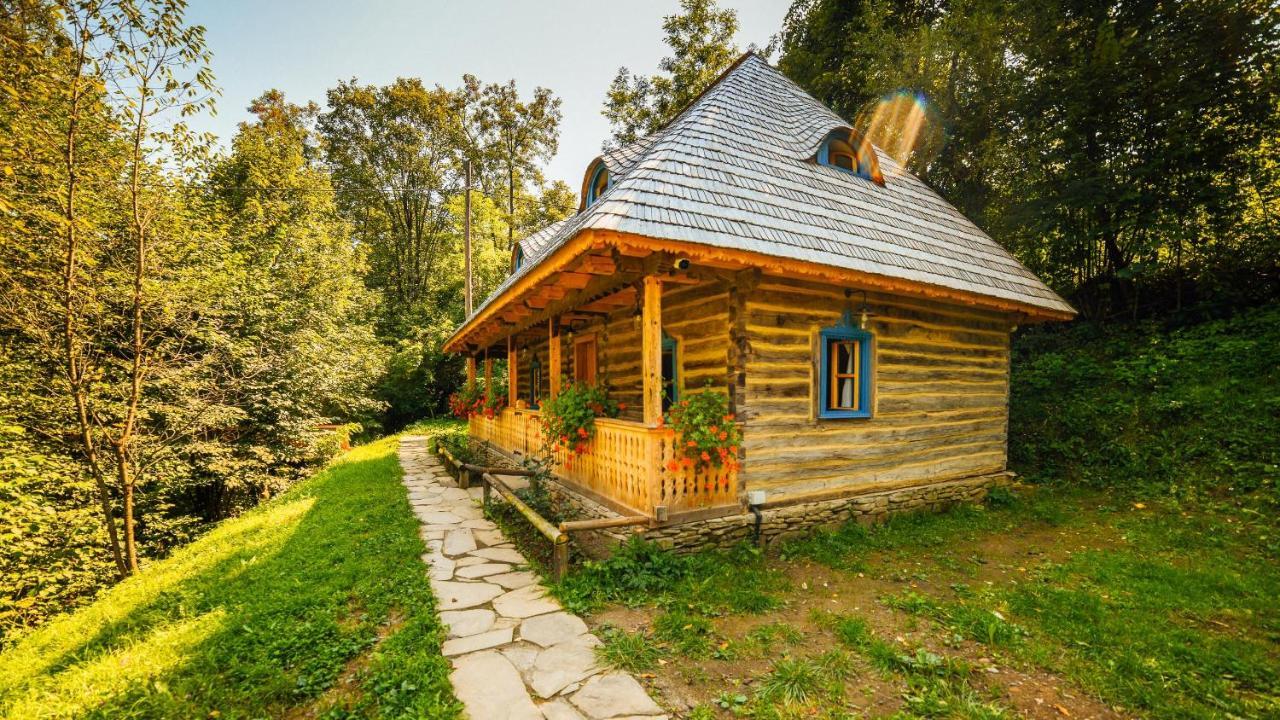 Villa Casa Lu' Ion Vişeu de Sus Exterior foto