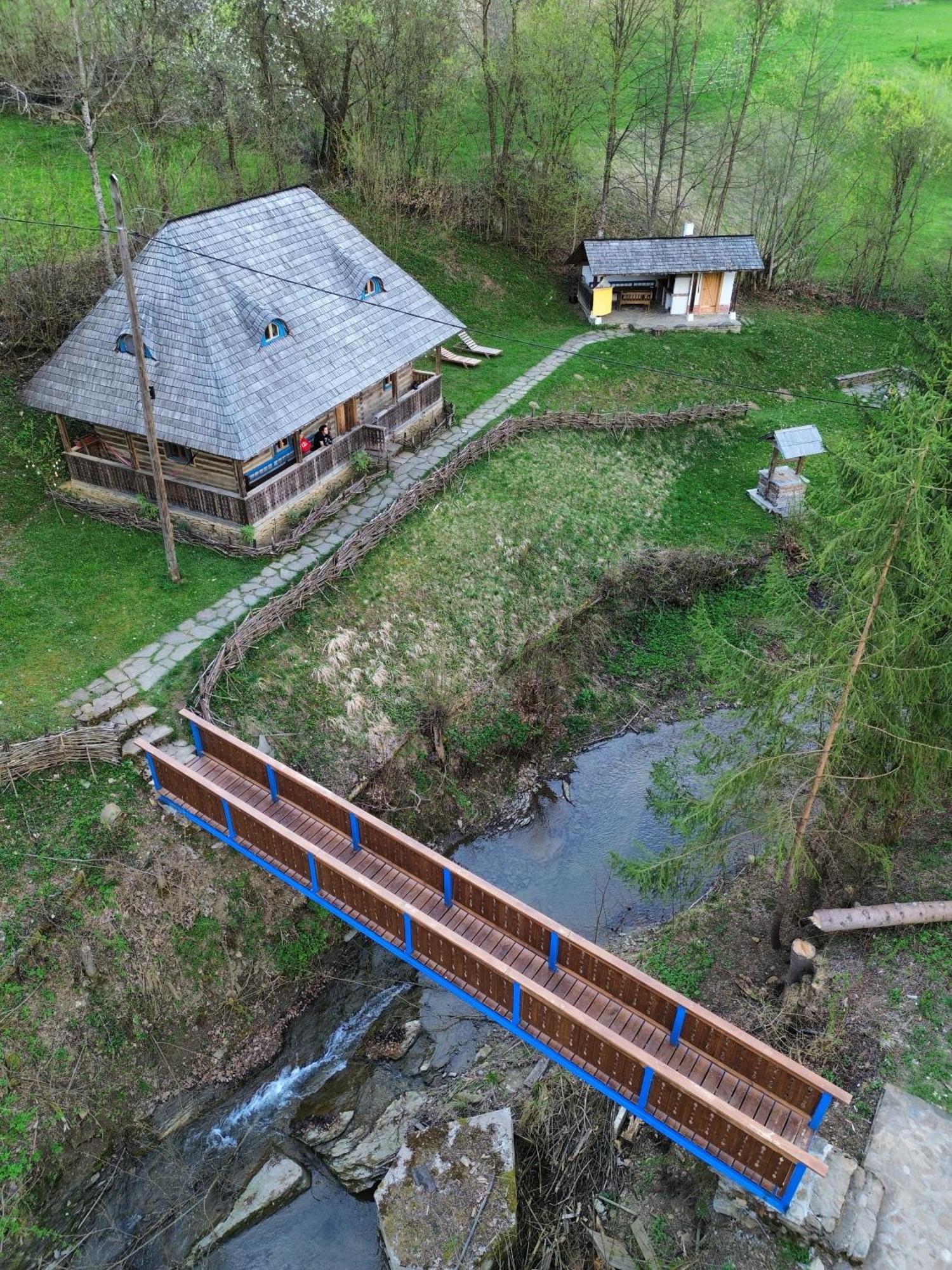 Villa Casa Lu' Ion Vişeu de Sus Exterior foto